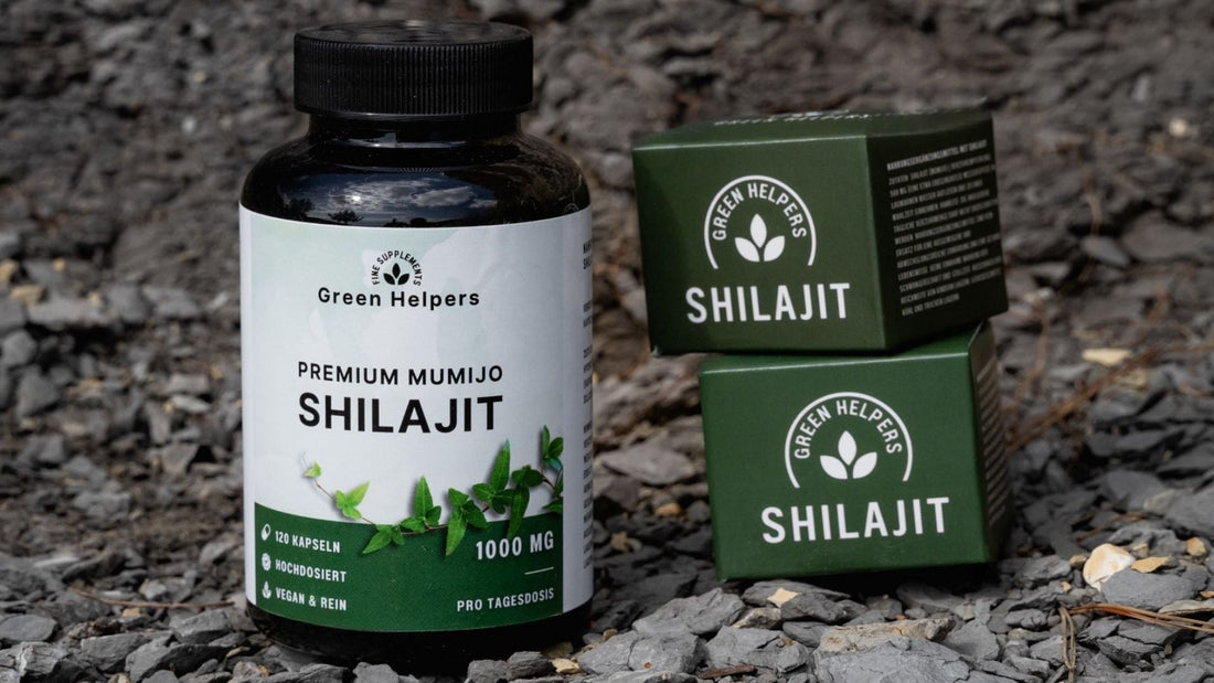 Shilajit oder Mumijo: Das Himalaya-Mysterium