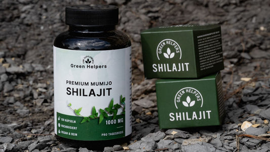 Shilajit oder Mumijo: Das Himalaya-Mysterium
