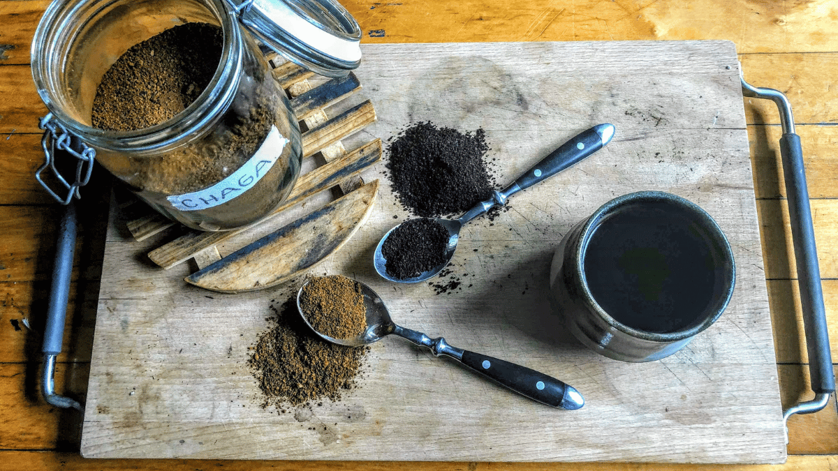 Vitalpilze  Chaga Lions Mane Cordyceps Reishi als Pulver Kapseln günstig kaufen bester Preis
