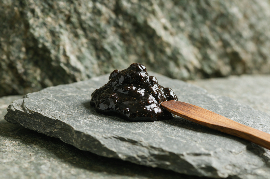 Dunkles Shilajit-Harz auf Schieferstein
