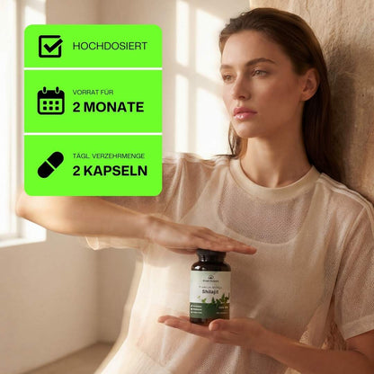 Shilajit Kapseln