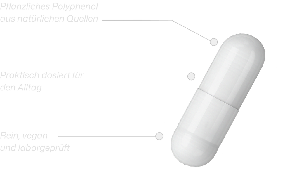 Magnesium capsule