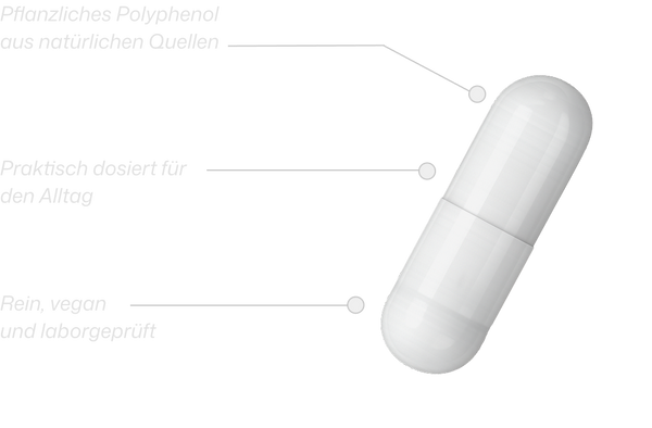 Magnesium capsule