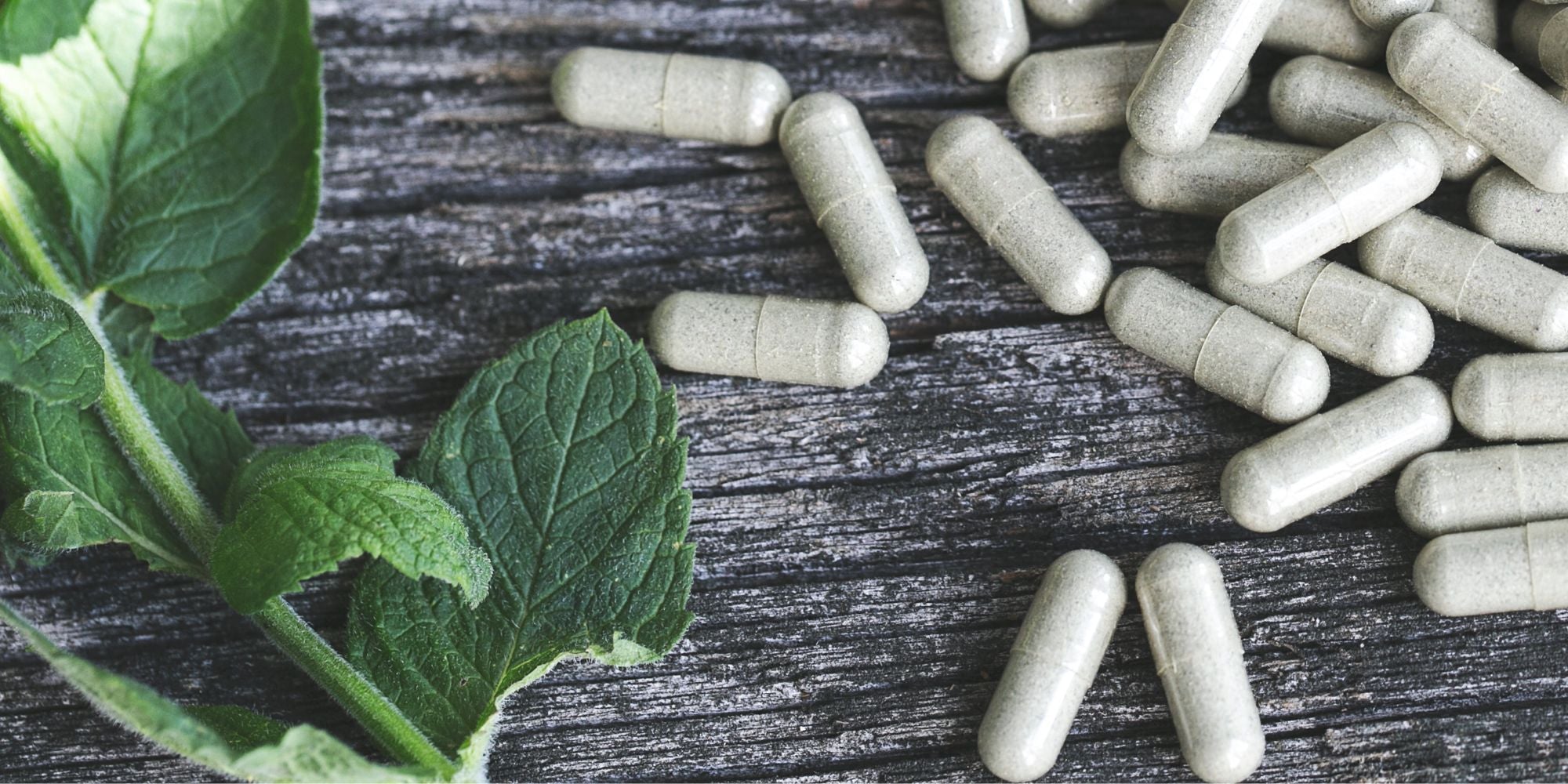 Produktübersicht der Green Helpers Nahrungsergänzungsmittel. Die Abbildung zeigt  Nahrungsergänzungen vor einem neutralen Hintergrund. Die Produkte sind für Gesundheit und Wohlbefinden konzipiert und stammen aus nachhaltiger Herstellung