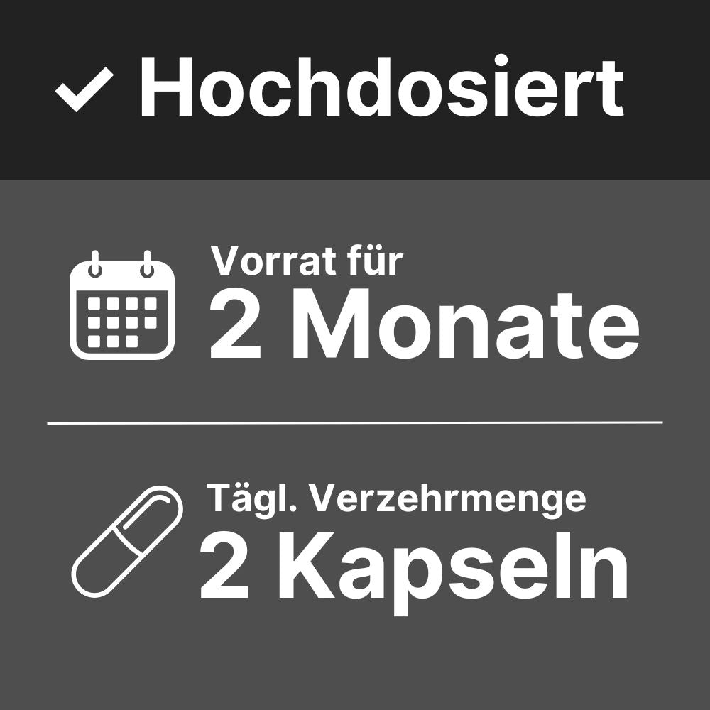 Shilajit Kapseln kaufen hochdosiert mobil