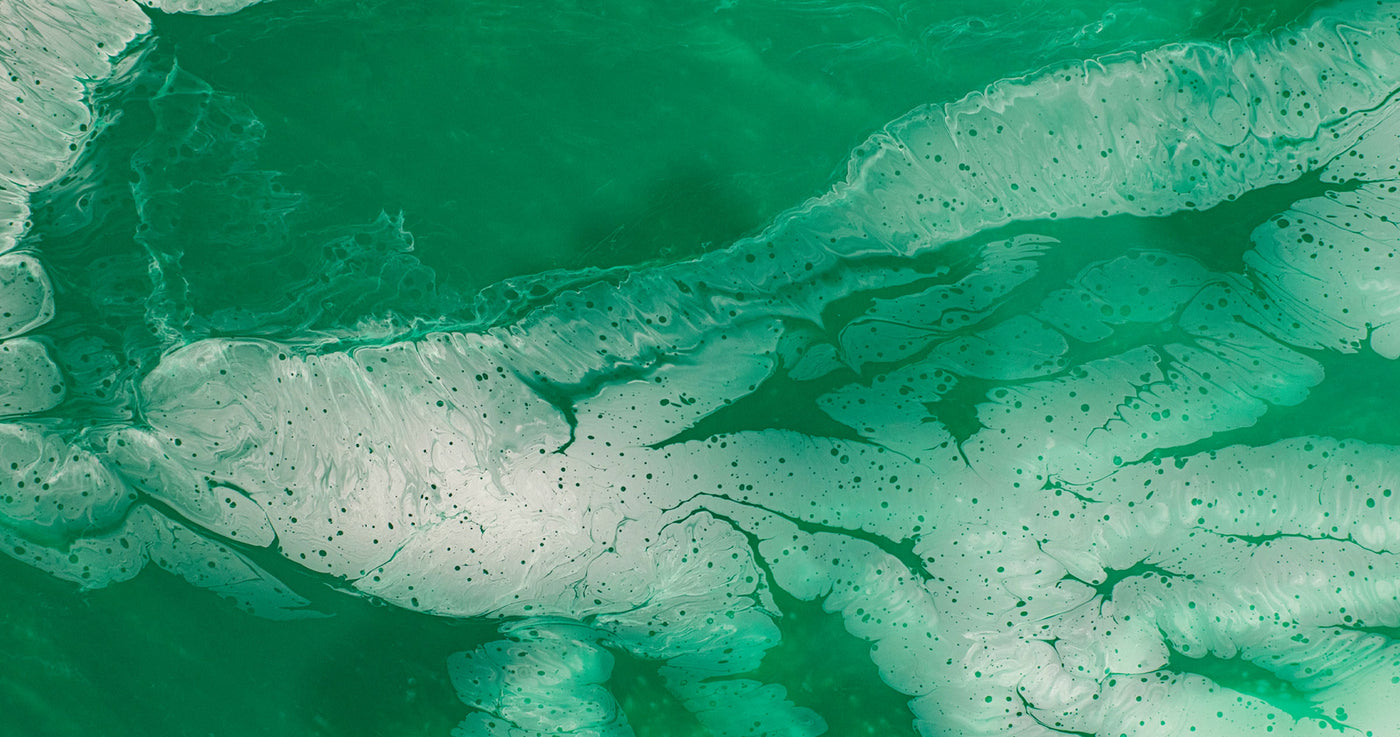 Auf was wirkt das  Everyday Essentials