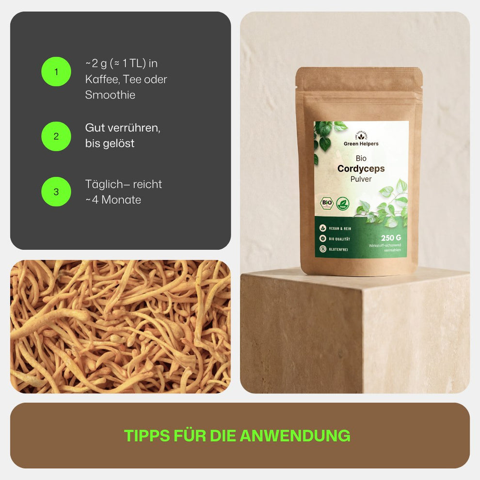 Bio Cordyceps Pulver von Green Helpers, Tipps fuer die Anwendung