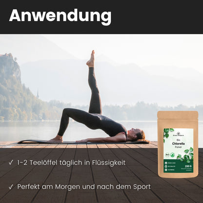 Bio Chlorella Pulver