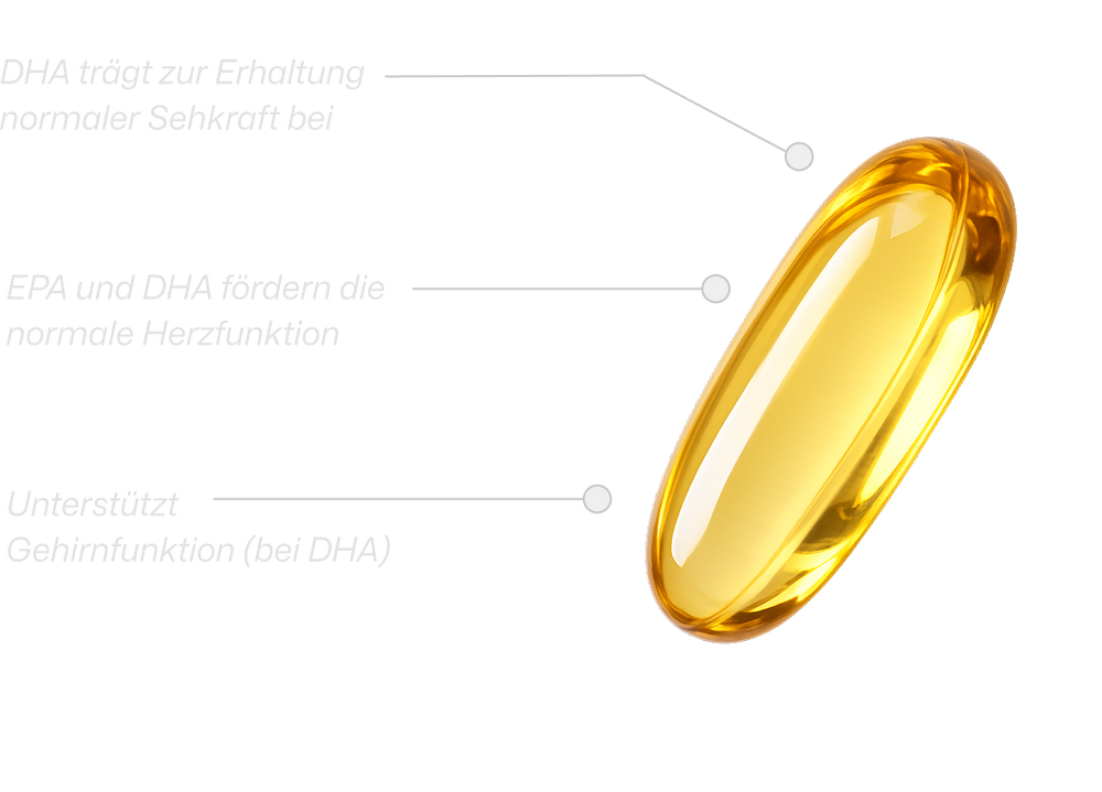 Magnesium capsule