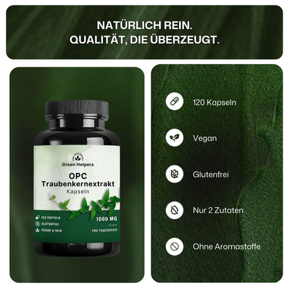 OPC Traubenkernextrakt Kapseln von Green Helpers – Detailansicht 2