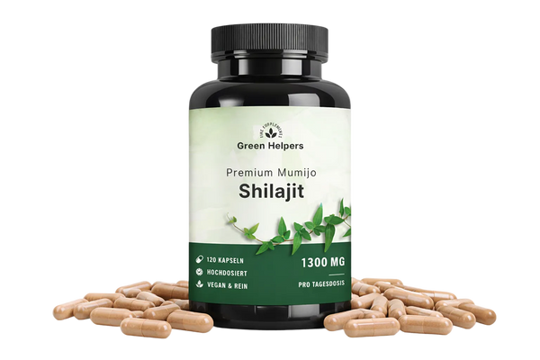 Shilajit Kapseln in deiner Alltagsroutine